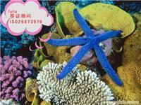 韓亞旅游信息咨詢 印度簽證材料簡(jiǎn)化、陸路代辦價(jià)格與票務(wù)代售服務(wù)詳解